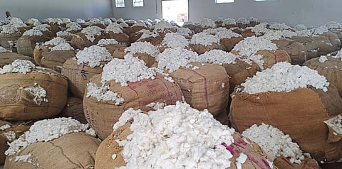 ஒழுங்குமுறை விற்பனை கூடத்தில் பருத்தி ஏலம்