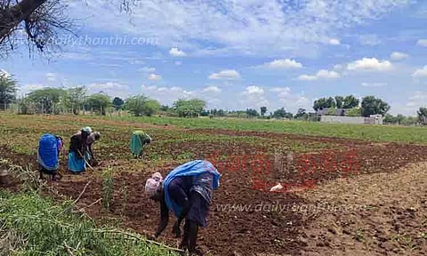 விவசாய பணிகள் தீவிரம்