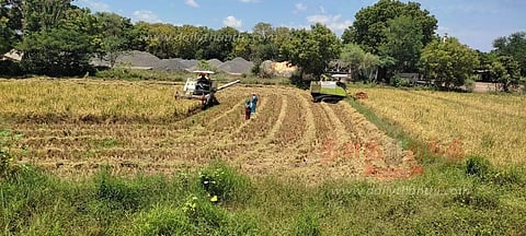 எந்திரம் மூலம் குறுவை அறுவடை பணி மும்முரம்