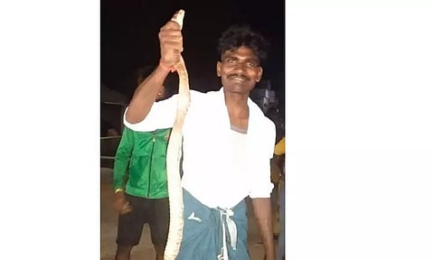 விழுப்புரம் அருகே கோழி முட்டைகளை விழுங்கிய நல்லப்பாம்பு பிடிபட்டது