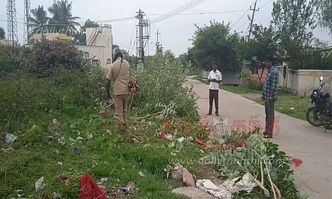 ஆண்டர்சன்பேட்டையில் முட்புதர்கள் அகற்றம்