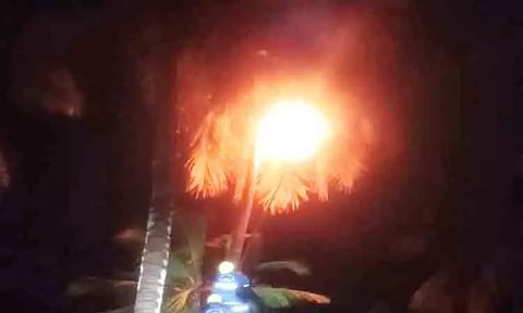 விஷ வண்டுகள் அழிப்பு