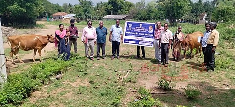 கால்நடைகள் கணக்கெடுப்பு பணி