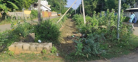 ஆனந்தவல்லி வாய்க்கால் கரைகளில் செடி, கொடிகள் அகற்றப்படுமா?