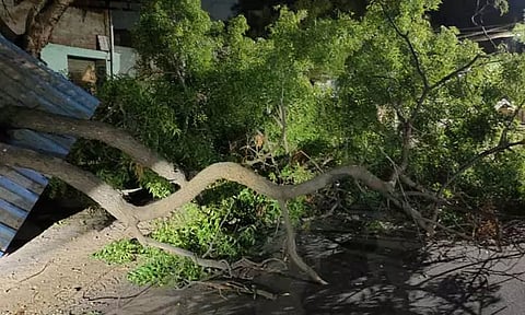 உடன்குடியில்திடீர் சூறாவளி காற்று