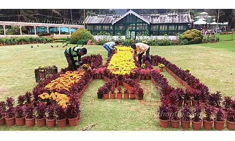 தாவரவியல் பூங்காவை தயார்படுத்தும் பணிகள் மும்முரம்