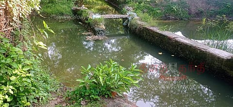 பைங்காட்டூர் பாசன வாய்க்காலை தூர்வார வேண்டும்