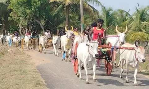 மாட்டு வண்டி எல்கை பந்தயம்