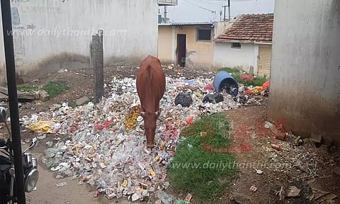 ஆண்டர்சன்பேட்டை மார்க்கெட்டில் கவுன்சிலர், நகரசபை நிர்வாகம் நடவடிக்கை எடுக்க மக்கள் கோரிக்கை