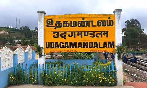 10 புலிகள் உயிரிழந்த விவகாரம்: தேசிய புலிகள் ஆணைய குழுவினர் இன்று ஊட்டிக்கு வருகை