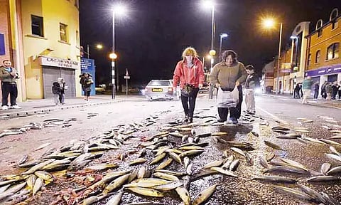 வானம் காட்டும் 'மழை' ஜாலம்