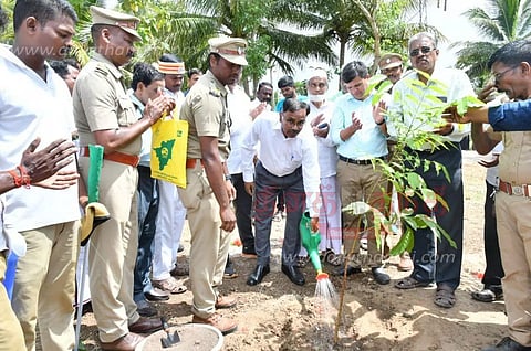 800 மரக்கன்றுகள் நடும் பணி