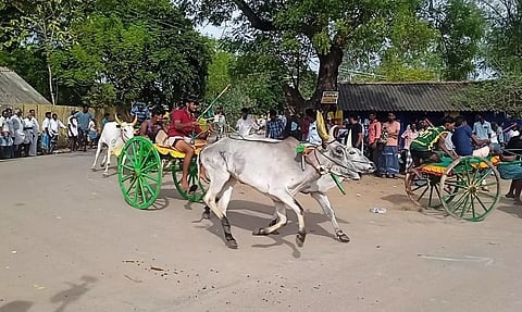 மாட்டு வண்டி எல்கை பந்தயம்