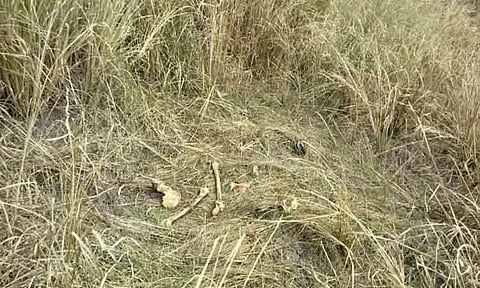 கண்மாய்க்குள் கிடந்த மனித எலும்புக்கூடு