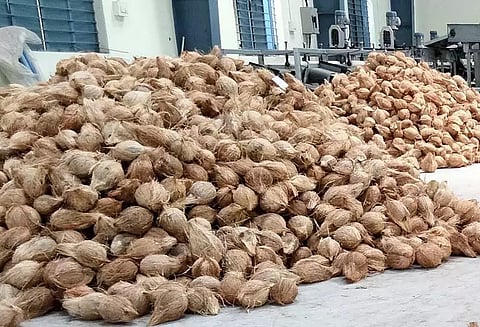 ரூ.99 ஆயிரத்துக்கு தேங்காய் ஏலம்