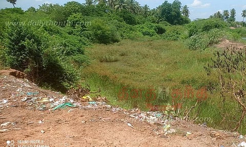 பாசன வாய்க்காலை ஆக்கிரமித்துள்ள செடிகள்