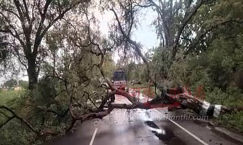 அருப்புக்கோட்டை பகுதிகளில் கனமழை