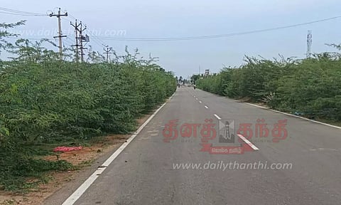 கருவேல மரங்களை அகற்ற வேண்டும்