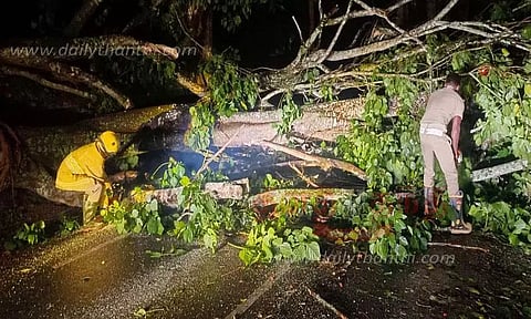 மரம் விழுந்து போக்குவரத்து பாதிப்பு