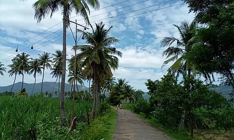 கைக்கு எட்டும் தூரத்தில் மின்கம்பிகள்