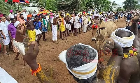 கோவில் திருவிழாவில் எருது ஓட்டம்