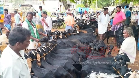 பொம்மிடி அருகே வடசந்தையூரில்ரூ.24 லட்சத்துக்கு ஆடுகள் விற்பனை