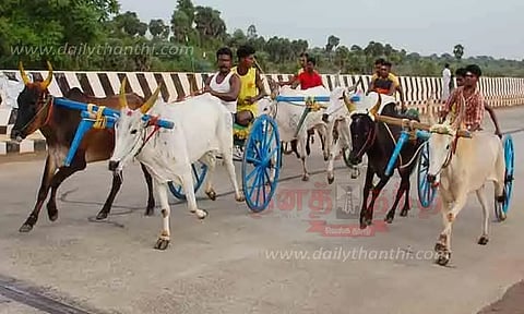 கல்லல் அருகே கோவில் திருவிழாவையொட்டி மாட்டு வண்டி பந்தயம்