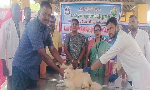 கயத்தாறில் வெறிநாய் கடி சிறப்பு மருத்துவ முகாம்