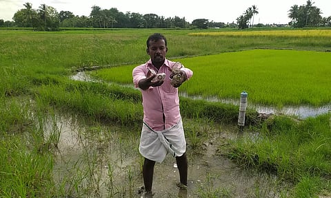 விளை நிலங்களை மதுபாராக மாற்றி வரும் சமூக விரோதிகள்