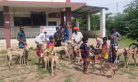 2,634 செல்ல பிராணிகளுக்கு வெறிநோய் தடுப்பூசி