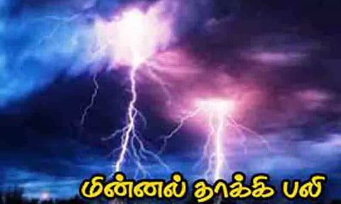 மின்னல் தாக்கி 2 ஆடுகள் சாவு