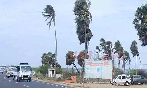 பலத்த காற்றினால் தள்ளாட்டம்