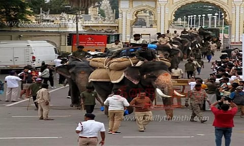 தசரா யானை அபிமன்யுவுக்கு எடை சுமக்கும் பயிற்சி