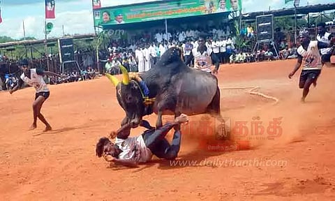 காளையுடன் மல்லுக்கட்டிய வீரர்