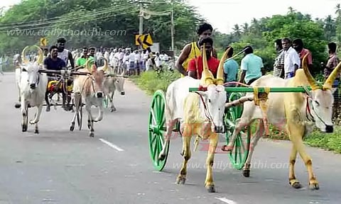மேலூர் அருகே மாட்டுவண்டி பந்தயம்