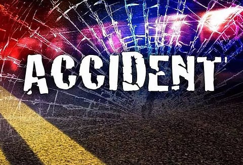 தென்னை மரம் விழுந்து கல்லூரி மாணவி பலி