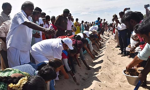 1 கோடி பனை விதைகள் நடும் பணி