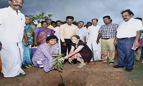 பனை விதை, மரக்கன்றுகள் நடும் பணி