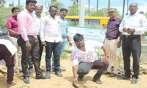 பனை விதைகள் விதைப்பு