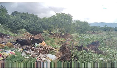 கம்பம் அருகேகுப்பை தொட்டியாக மாறி வரும் கண்மாய்