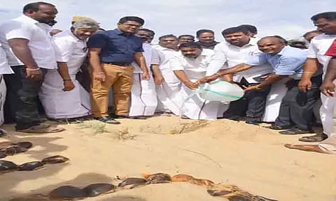 பனை விதைகள் நடும் நிகழ்ச்சி