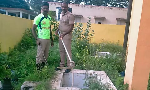 பேரூராட்சி அலுவலகத்தில் பாம்பு பிடிபட்டது