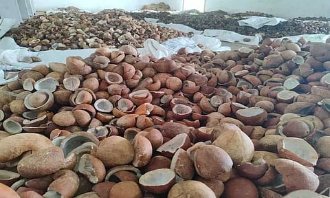 ரூ.13 லட்சத்திற்கு கொப்பரை தேங்காய் ஏலம்