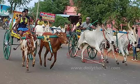 புரவி எடுப்பு விழாவையொட்டி மாட்டு வண்டி பந்தயம்