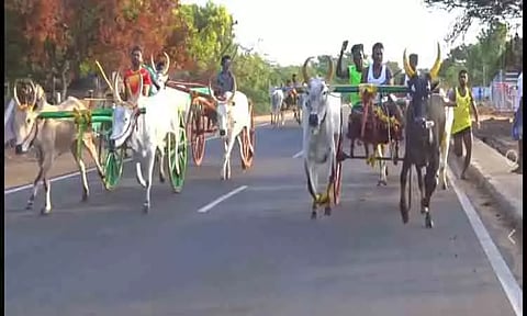 கோவில் திருவிழாவையொட்டிமாட்டு வண்டி பந்தயம்