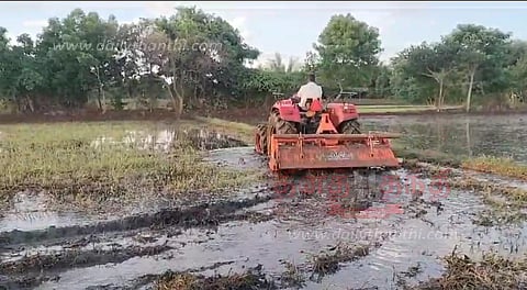 பருவ மழையை நம்பி சம்பா சாகுபடியில் ஈடுபட்டுள்ள விவசாயிகள்