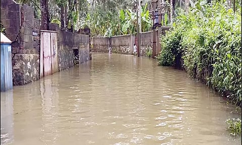 கனமழை எதிரொலி: குமரியில் 3 குளங்கள் உடைந்தன -ஆறுகளில் வெள்ளப்பெருக்கு