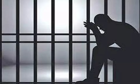 நகை திருட்டு வழக்கில் வாலிபர்களுக்கு 2 ஆண்டு சிறை; திருத்தணி கோர்ட்டு தீர்ப்பு