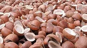 எழுமாத்தூர் விற்பனை கூடத்தில் ரூ.45½ லட்சத்துக்கு கொப்பரை தேங்காய் ஏலம்