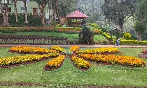 பூத்து குலுங்கும் மலர்கள்